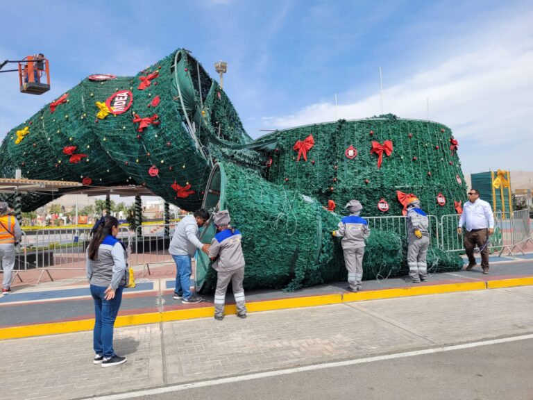 Cae árbol navideño recién inaugurado en El Algarrobal