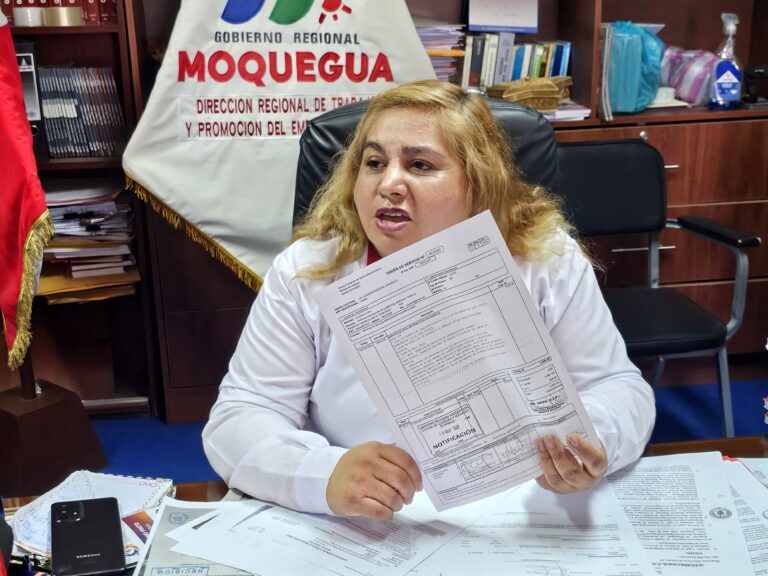 Directora de Trabajo admite que orden de servicio consigna el número de su hermano, pero no explica cómo ni por qué