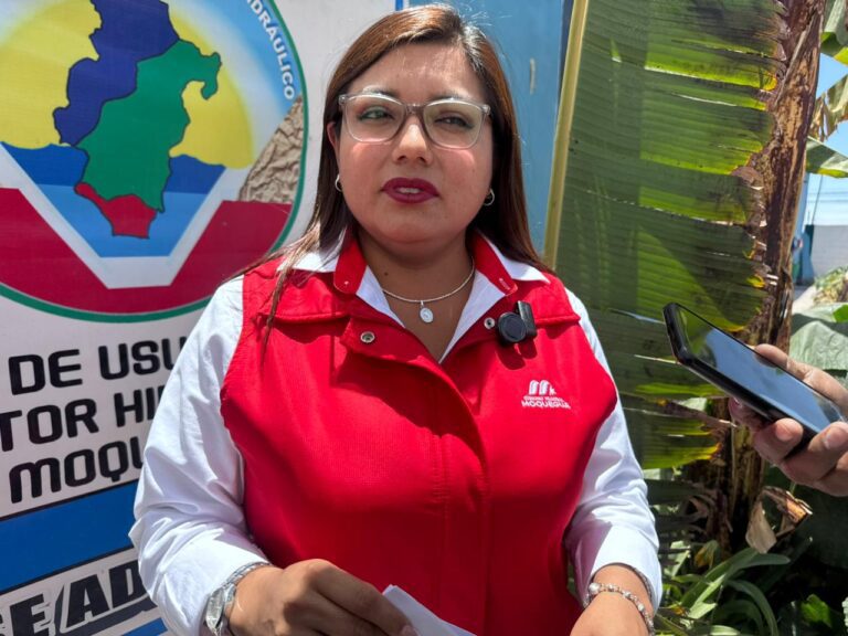 Gobernadora regional niega reposiciones judiciales en Pasto Grande