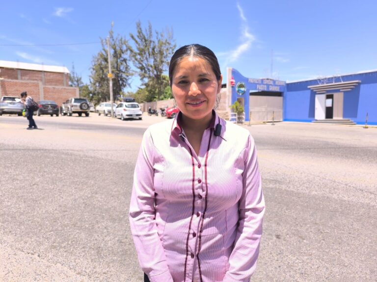 Consejera detecta pedidos de reposición judicial y despidos en el PERPG