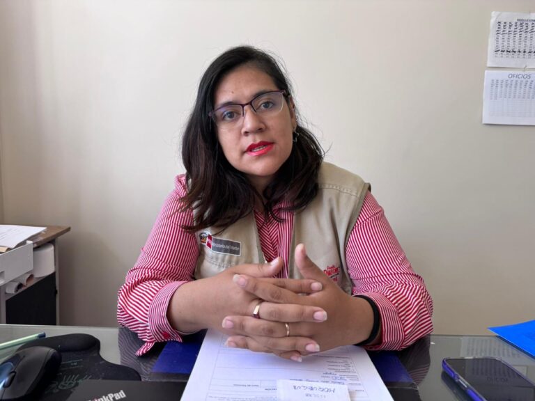 Refuerzan fiscalización para prevenir venta informal y uso indebido de pirotécnicos