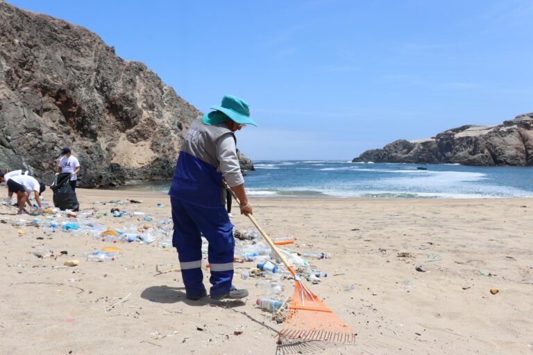 Refuerzan limpieza y seguridad en caletas de Islay por de verano