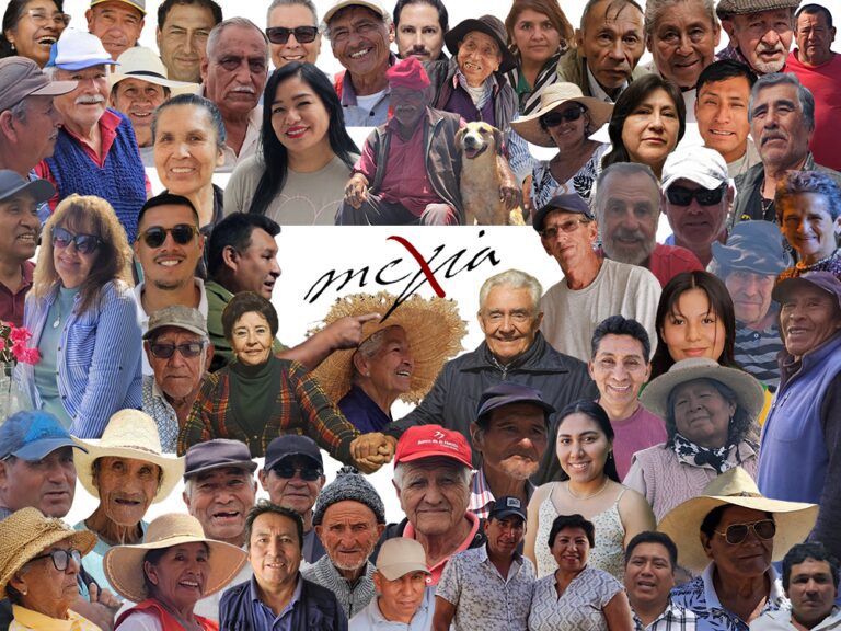 Rostros y apellidos actuales de Mejía