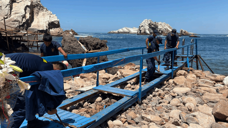Retiran muelles artesanales instalados sin autorización en playa Bolivianita 