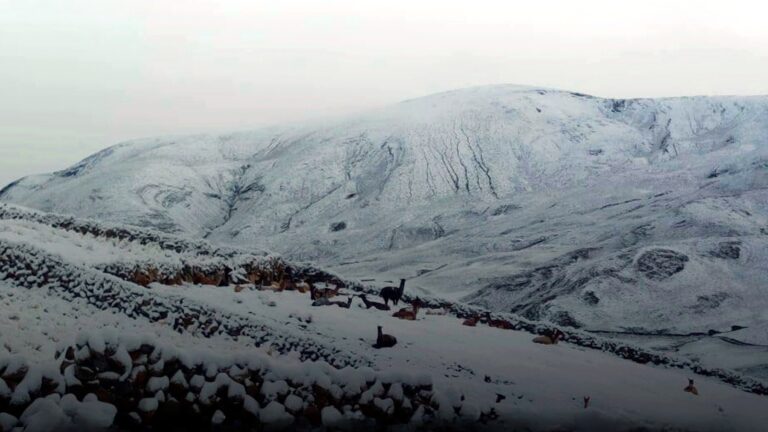 Nevada cubre zonas altas de Ichuña
