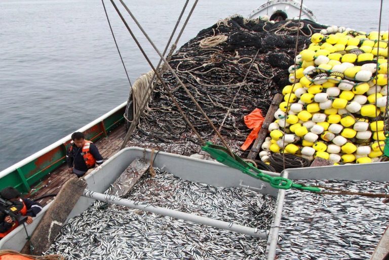 Sector pesca de Ilo modera su caída anual pese al desplome del CHD