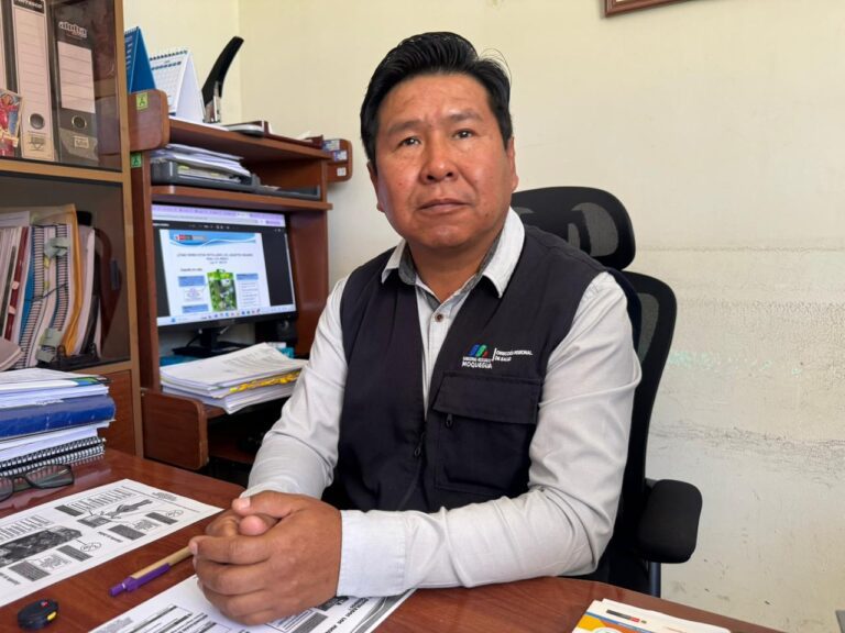 DIRESA realizará controles en venta de juguetes y alimentos por campaña de Navidad