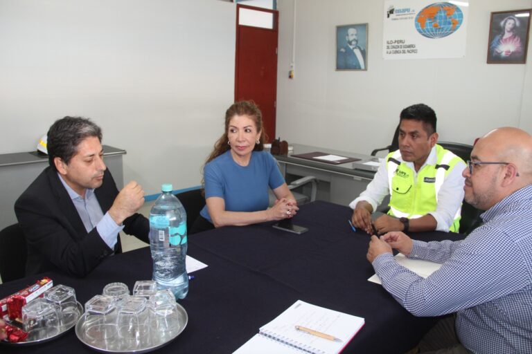 Ilo recibe carga boliviana y reactiva el comercio marítimo a través de ENAPU