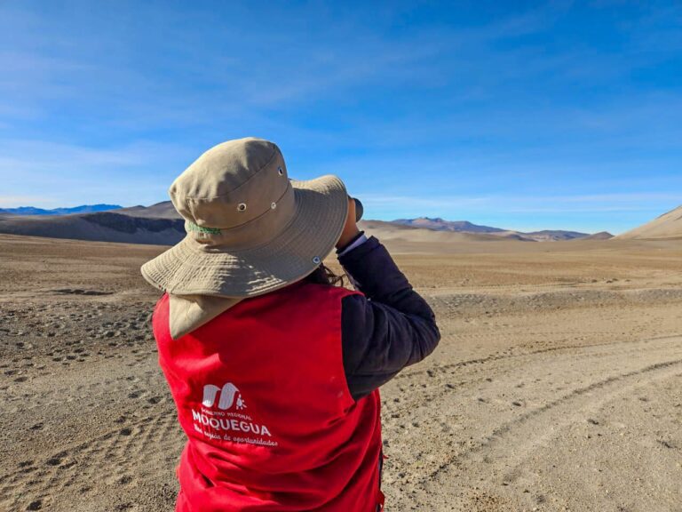 Se desarrolló la segunda fase del III Censo Nacional del suri en Moquegua