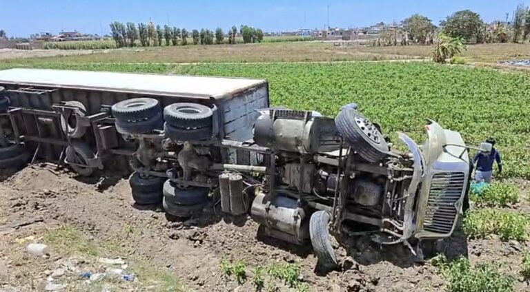 Punta de Bombón: tráiler choca, se despista y vuelca en una chacra 