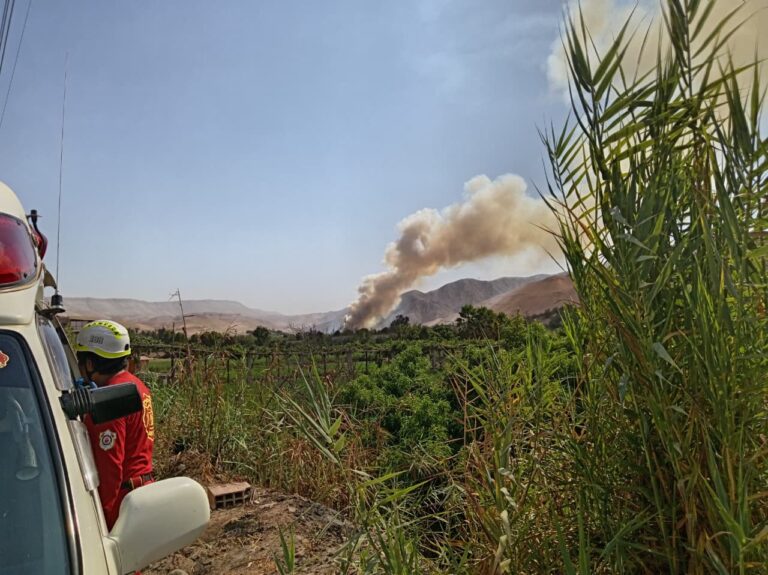 Bomberos atendieron incendio forestal en San Antonio