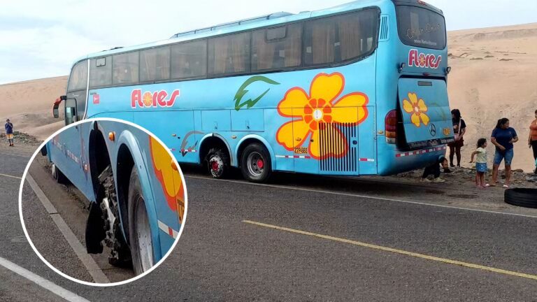 Bus de Flores Hnos. genera alarma tras falla en neumático en ruta Tacna–Ilo