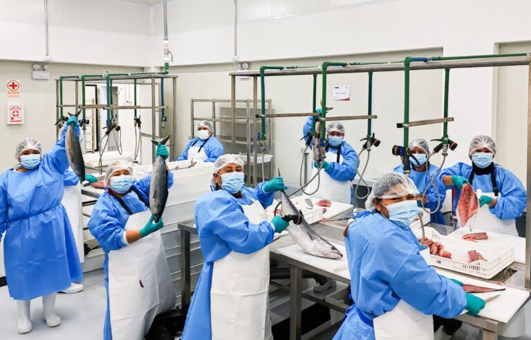 Desafíos para el futuro de nuestra Moquegua