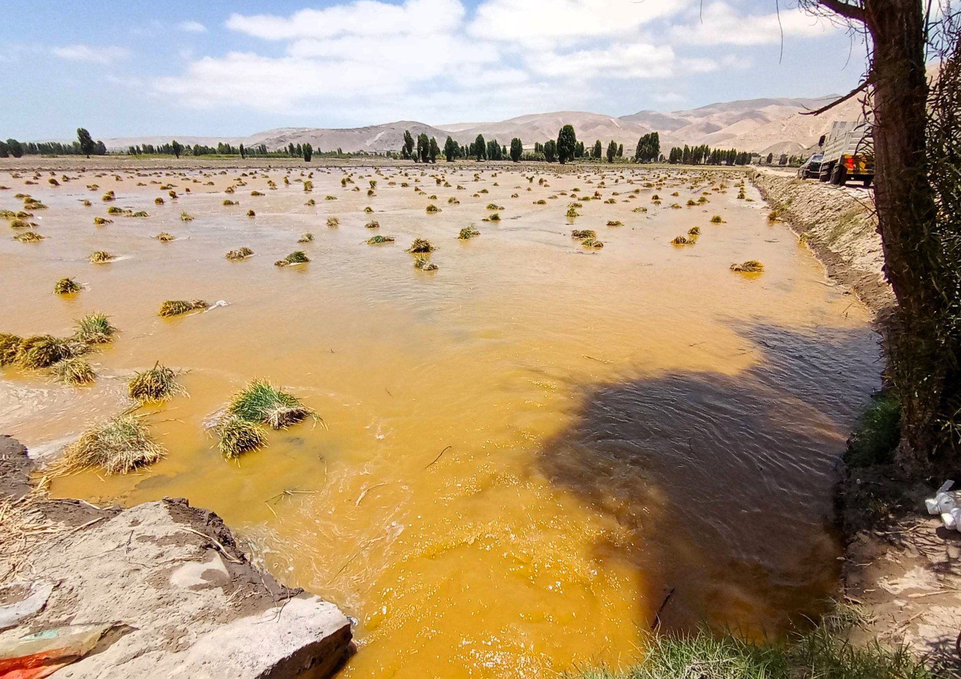 Consejero Huanca califica de “mecedora” las respuestas oficiales por contaminación del río Tambo 1 Coloracion rio Tambo diciembre 2025 La Prensa Regional