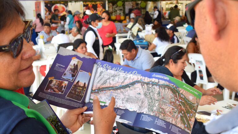 El vino y el pisco moqueguano: herencia líquida de un valle escondido