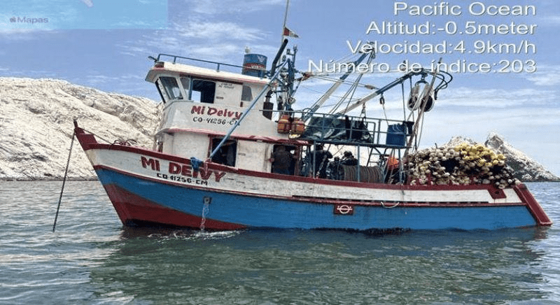 Incautan bonito: embarcación “Mi Deivy” intervenida por pesca en veda 2 Incautacion tonelada de bonito Matarani 31012026 3 La Prensa Regional