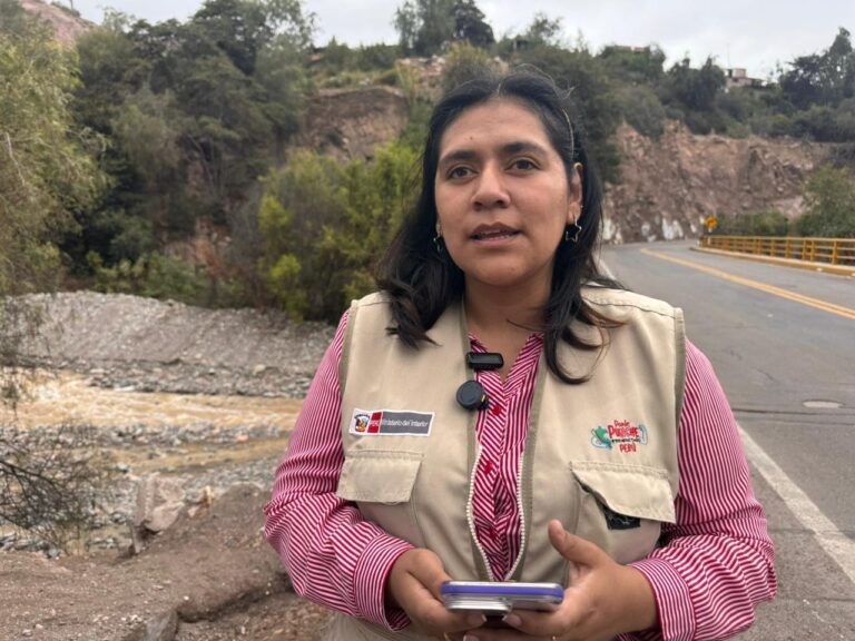 Verifican estado de los ríos tras lluvias en las zonas altas de Moquegua