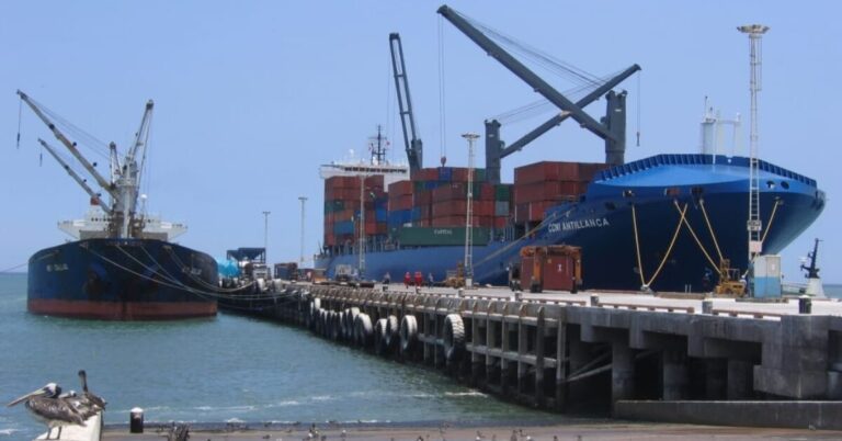 Trabajadores portuarios reclaman exclusión laboral en operaciones de exportación