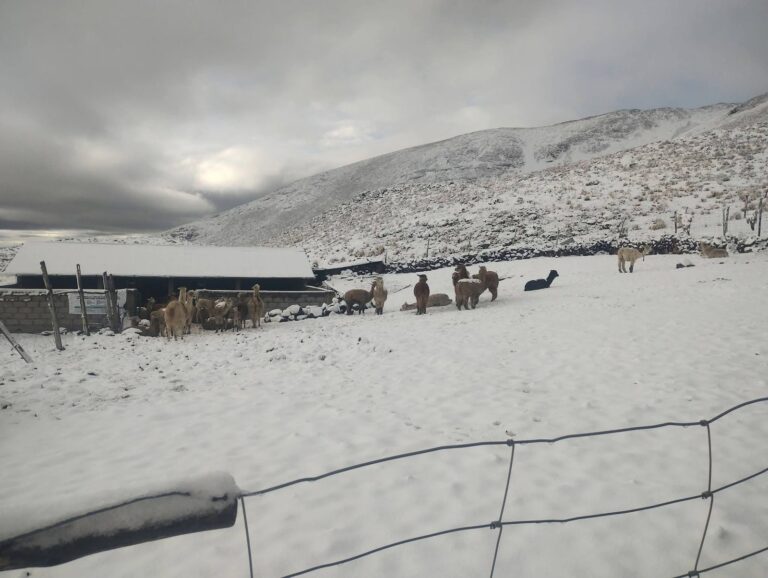 Ubinas: nevada cubre zonas altas de Yalagua