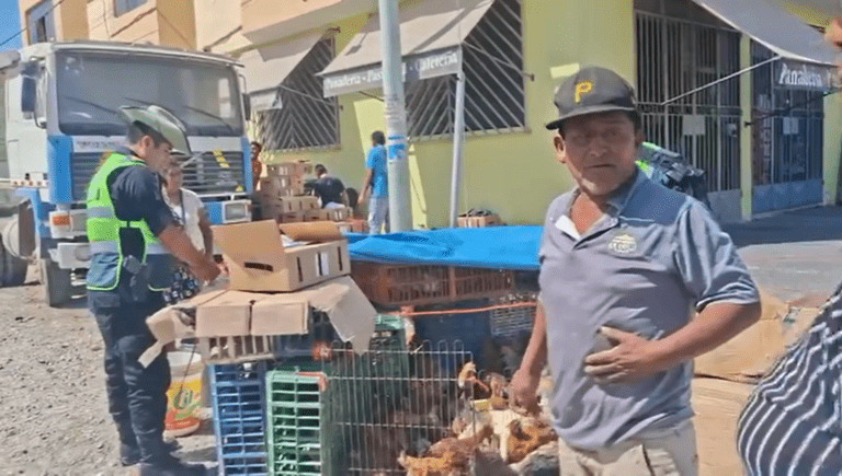 Vecinos denuncian presunto maltrato animal en la Pampa Inalámbrica