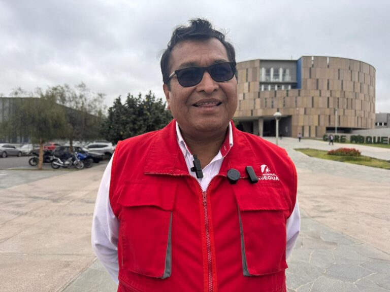 Moquegua: Vías afectadas y camélidos muertos entre los principales daños por lluvias