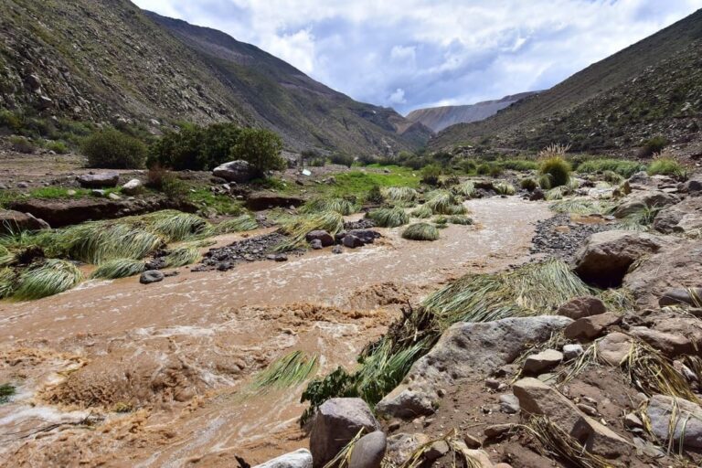 Aguas de desagüe ingresan al río Torata y generan alerta sanitaria en Yacango