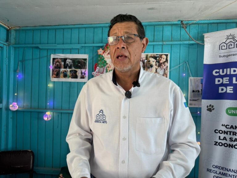 Zoonosis de la municipalidad provincial registró 300 esterilizaciones durante el 2025