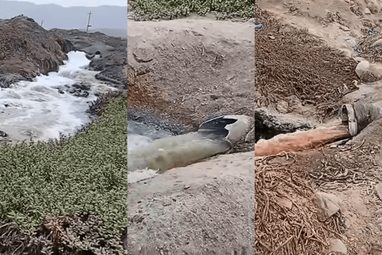 Denuncian contaminación por inoperatividad de lagunas de oxidación en Media Luna