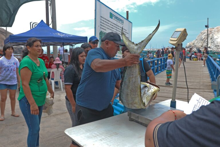 Caleta Centeno albergará Tercer Festival del Perico