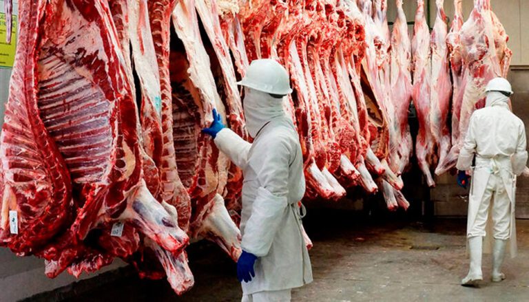 Ilo: Refuerzan control sanitario en expendio de carnes