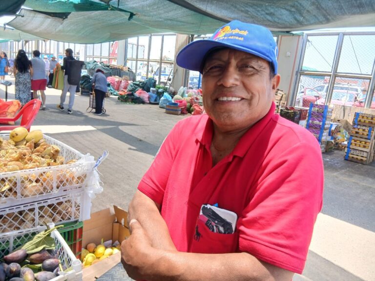 Comerciantes aseguran abastecimiento de frutas