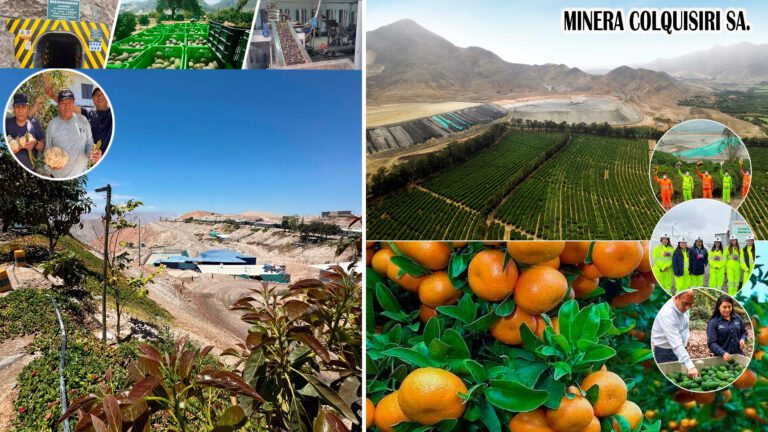 Agro y minería, una convivencia que se da en diferentes partes del mundo