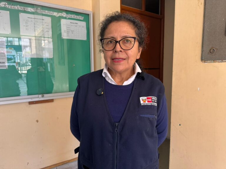 Moquegua e Ilo iniciarán encuestas entomológicas para prevenir el dengue