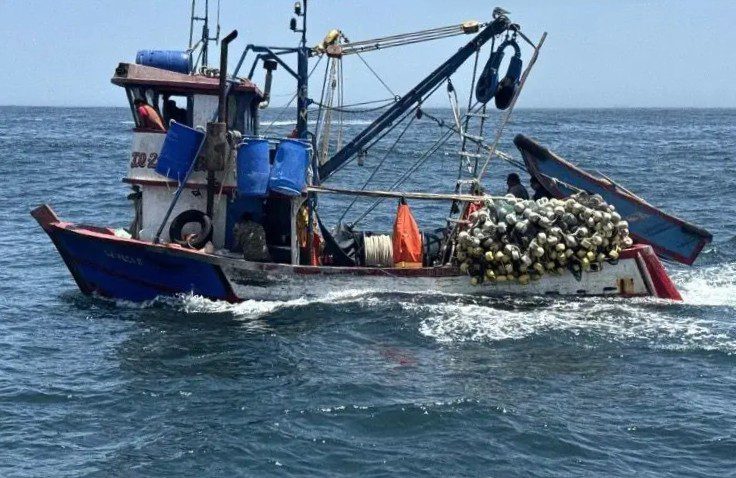 Incautan ocho toneladas de bonito en veda a embarcación pesquera en Matarani