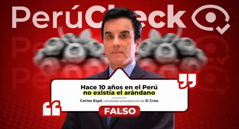 ¿Hace diez años no existían los arándanos? Es falso lo que dijo el candidato Carlos Espá