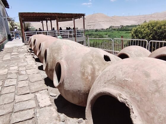 San Antonio impulsa ruta turistica vitivinicola 27022026 3 La Prensa Regional