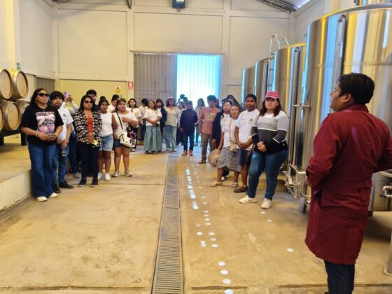 San Antonio impulsa ruta turistica vitivinicola 27022026 4 La Prensa Regional