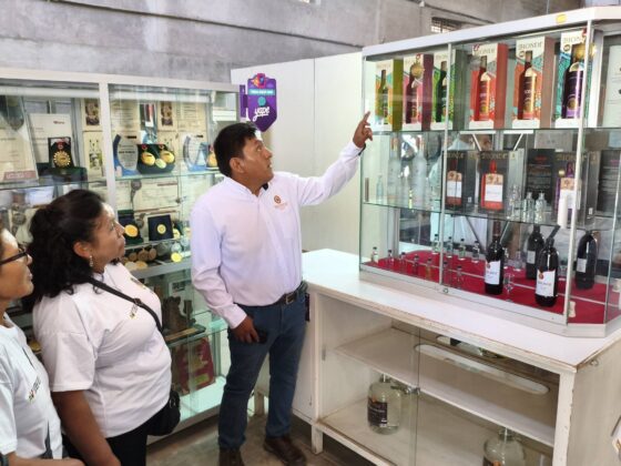 San Antonio impulsa ruta turistica vitivinicola 27022026 8 La Prensa Regional