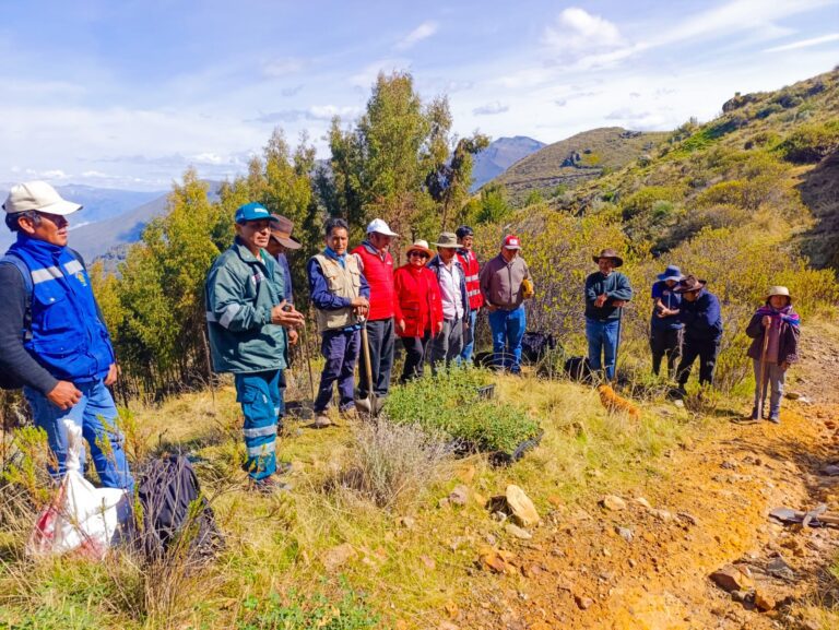 Moquegua: Serfor participa en forestación con 420 queñoas en Ataspaya