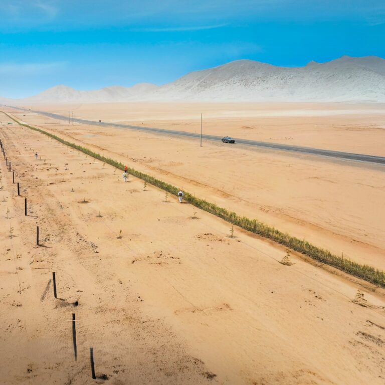 Tía María alcanza 24% de avance al 2025