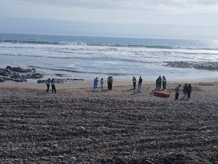 Playa Media Luna cobra una vida: turista arequipeño fallece ahogado en Ilo