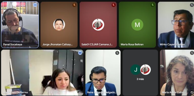 Arequipa: cadena perpetua a extranjero por violación sexual contra niña