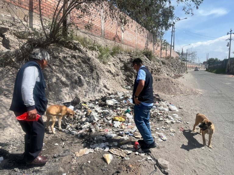 Refuerzan vigilancia epidemiológica por riesgo de rabia canina en Arequipa