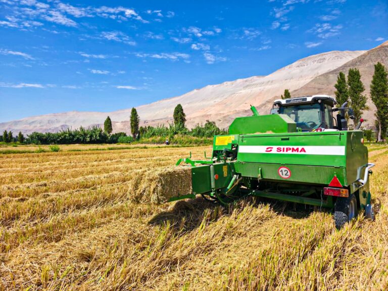 Impulsan alternativa para evitar quema de rastrojos 