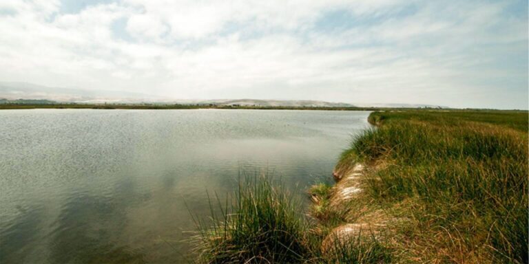 ALA Tambo: solo existe un expediente vinculado a Southern sobre uso de aguas