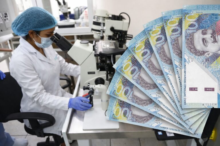 Gobierno otorga bono de hasta S/ 4434 a docentes investigadores