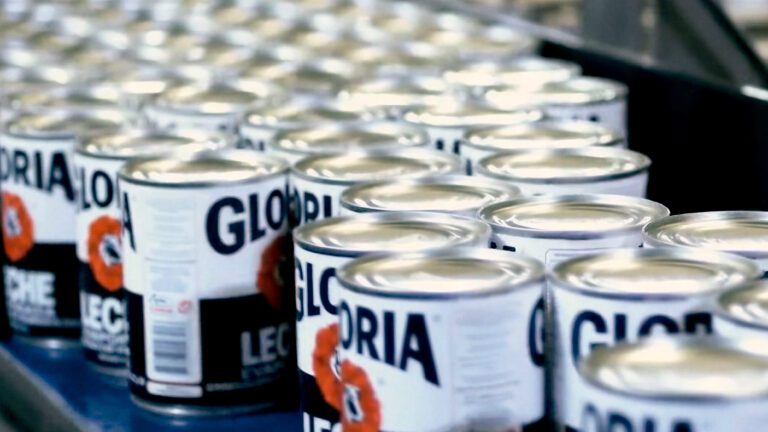 Concentración láctea: Gloria quintuplica utilidades de Laive en 2025