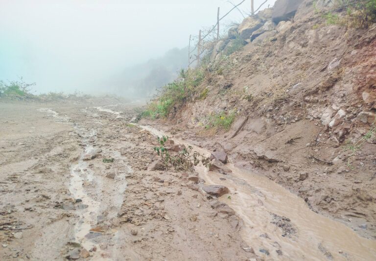 Lluvias afectaron vías, cultivos y ganadería en el distrito de Puquina