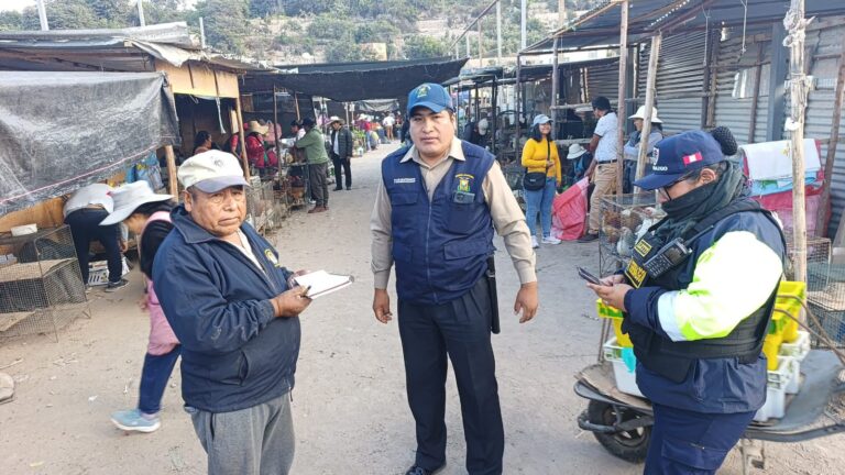 Decomisan cachorros y gatitos en feria de la Chacra a la Olla