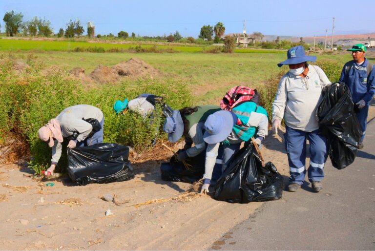 Realizan jornada de limpieza en la vía costanera de Deán Valdivia